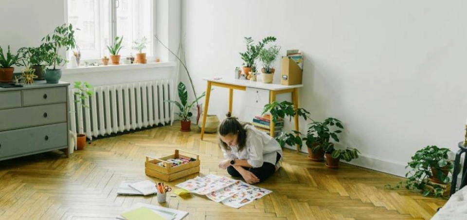 Blog | Felix